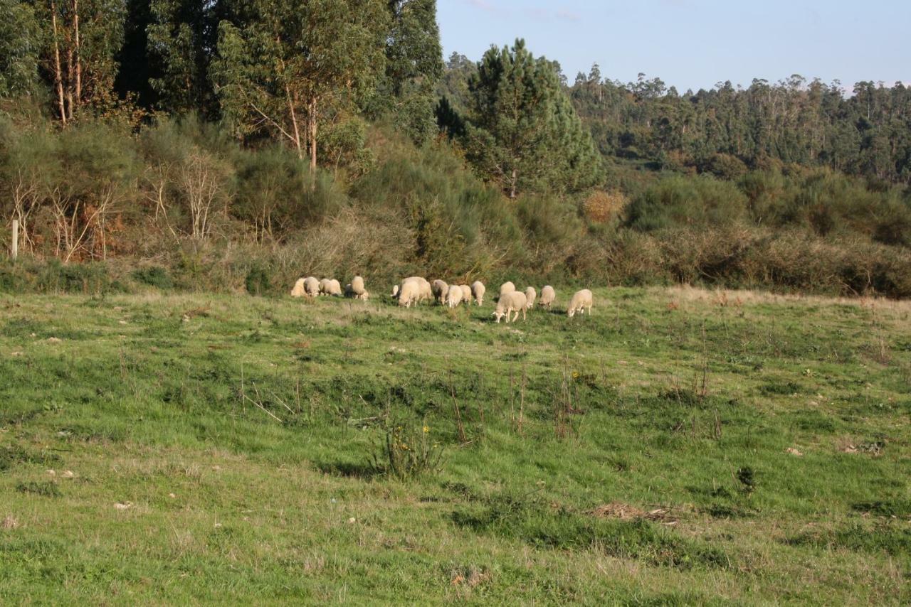 Casa rural Cabo De Aráns Oroso